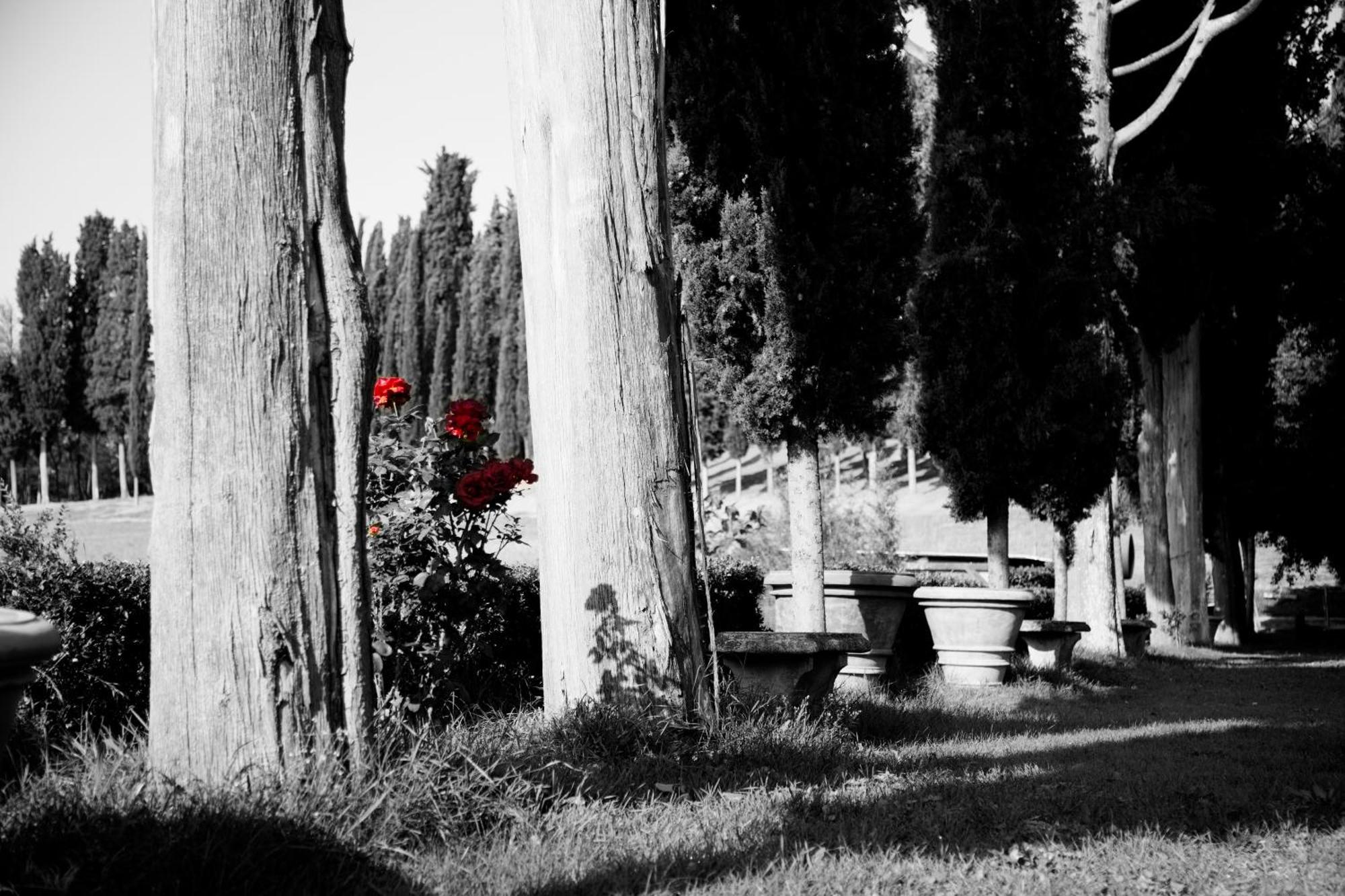 Agriturismo Fattoria Rozzalupi Cerreto Guidi Luaran gambar