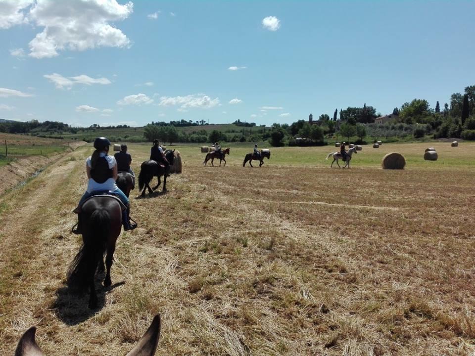 Agriturismo Fattoria Rozzalupi Cerreto Guidi Luaran gambar