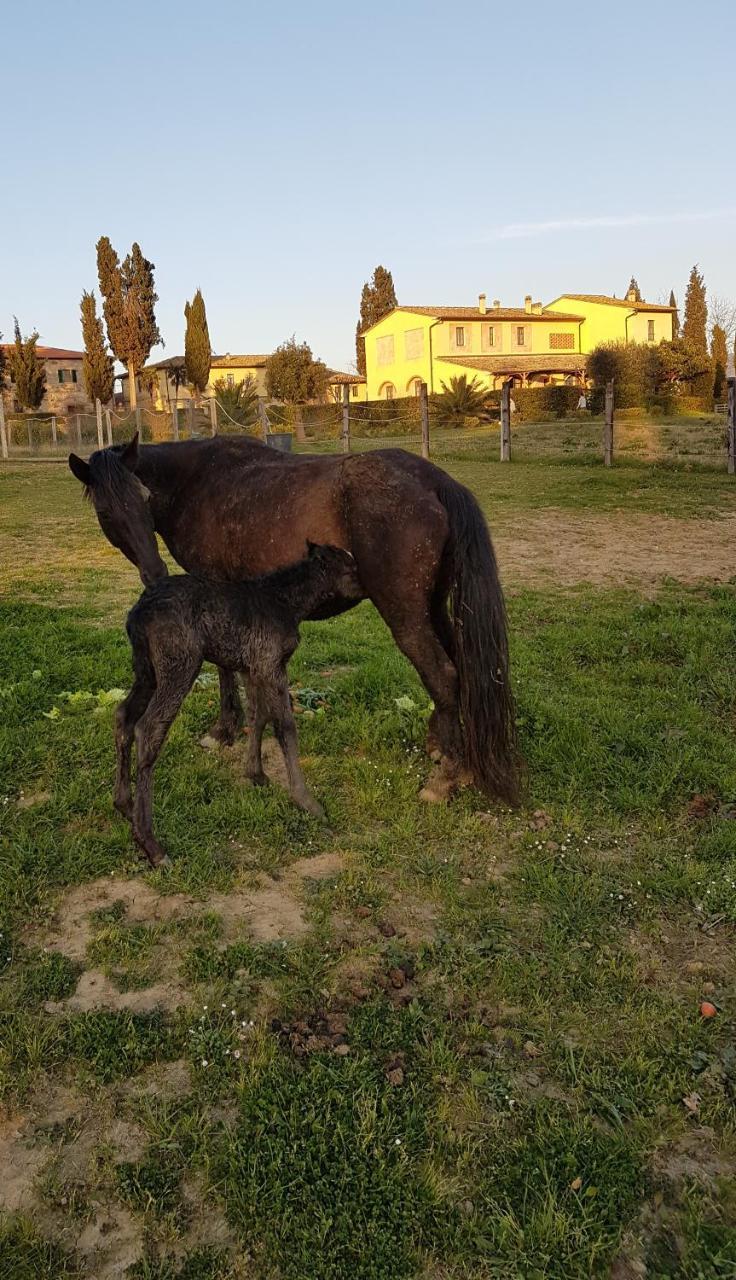 Agriturismo Fattoria Rozzalupi Cerreto Guidi Luaran gambar